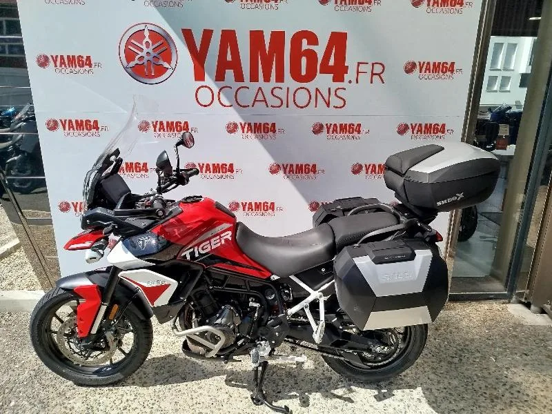 TIGER 900 GT ARAGON EDITION
