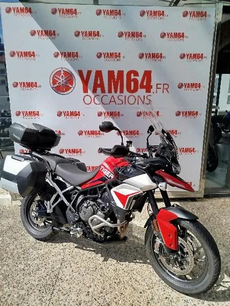TIGER 900 GT ARAGON EDITION