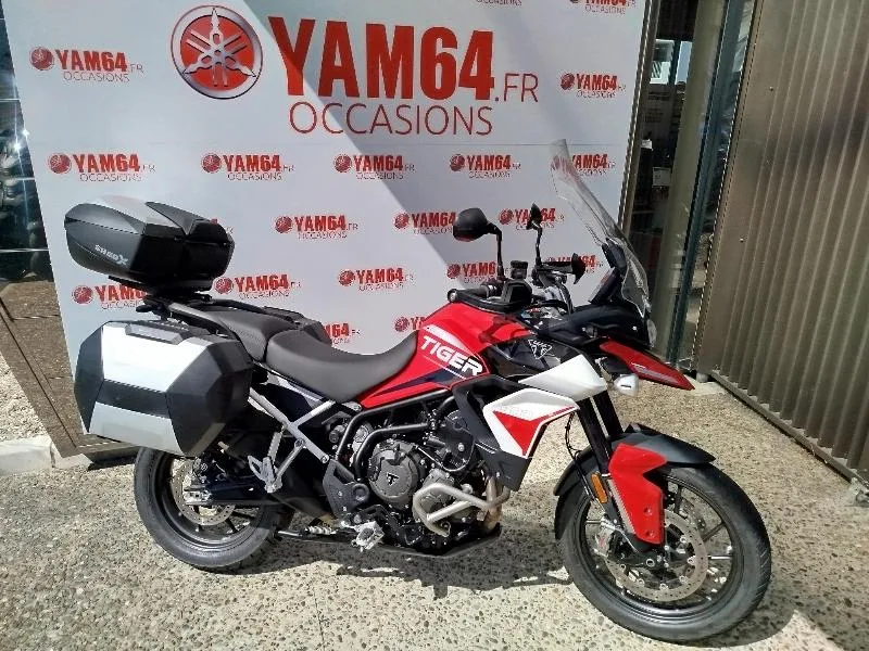 TIGER 900 GT ARAGON EDITION