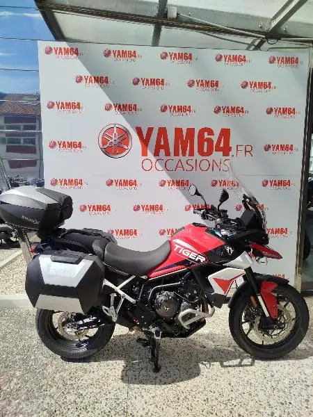 TIGER 900 GT ARAGON EDITION