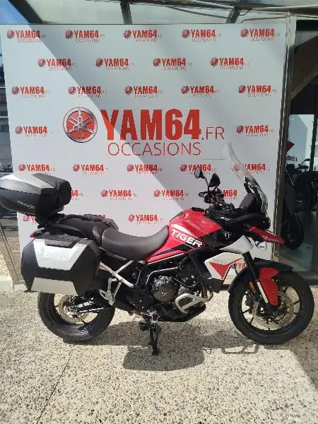 TIGER 900 GT ARAGON EDITION