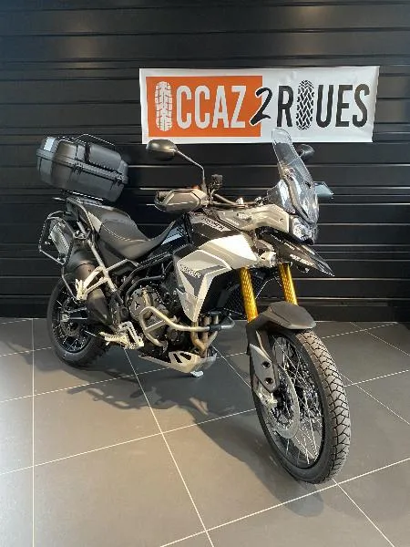 TIGER 900 RALLY PRO