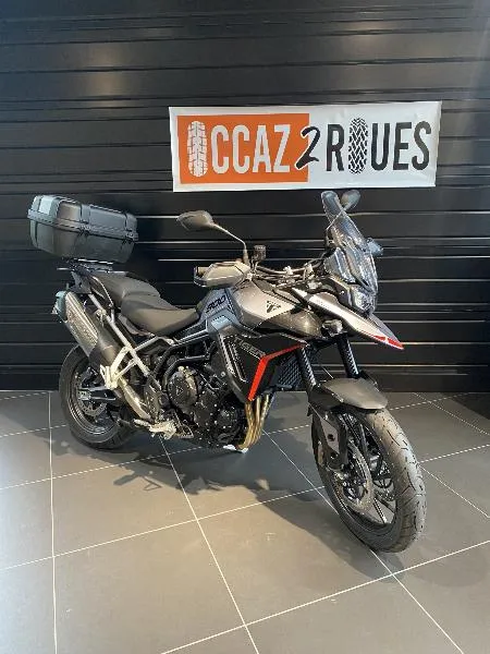 Tiger 900 GT PRO 2024