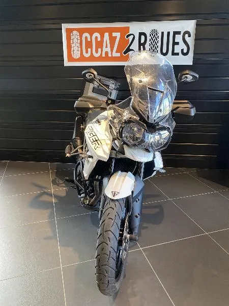 Tiger 900 GT PRO