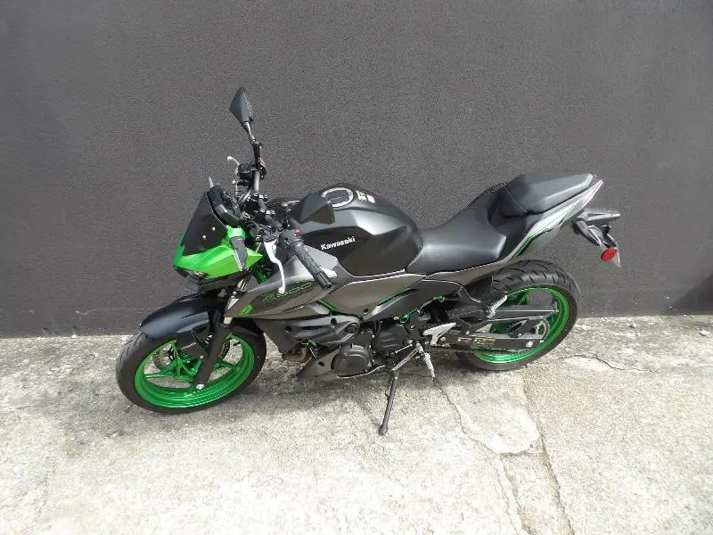 Z 500 SE  A2  2026