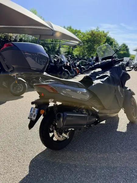 TRICITY 300