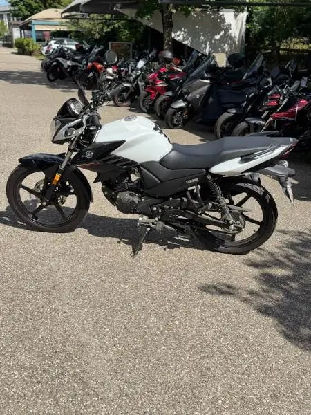YS 125