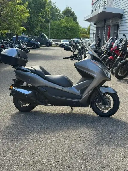 NSS FORZA 300