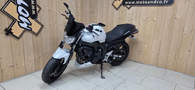 FZ6 