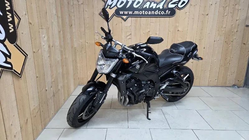 FZ1