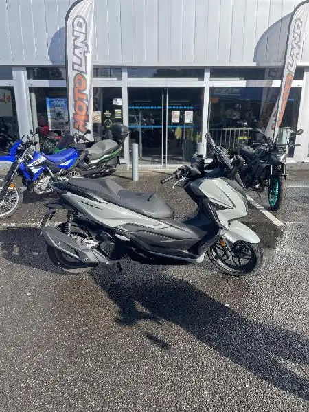 NSS FORZA 125