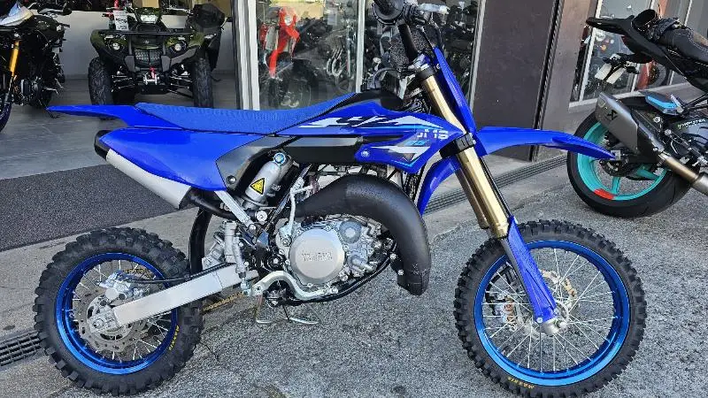 YZ65