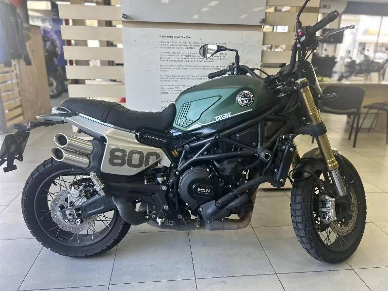 LEONCINO 800 T 2024