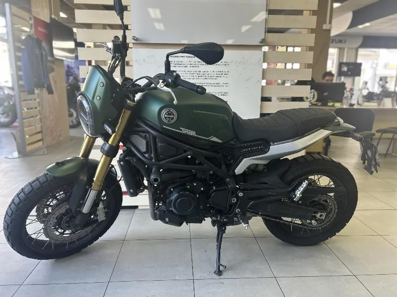 LEONCINO 800 T