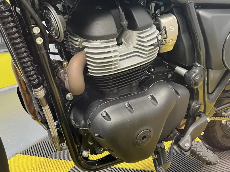 BEAR 650