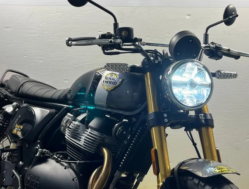BEAR 650