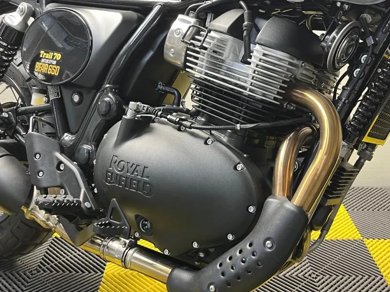 BEAR 650