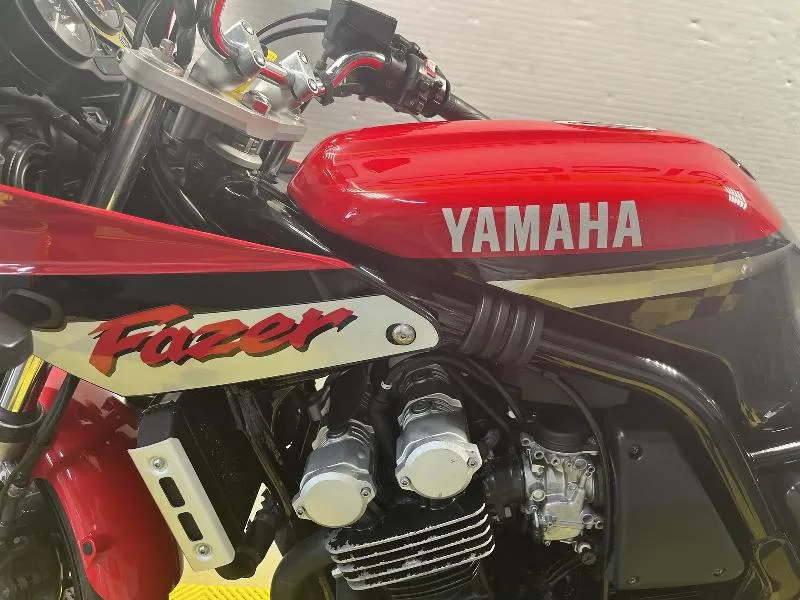 FZS FAZER