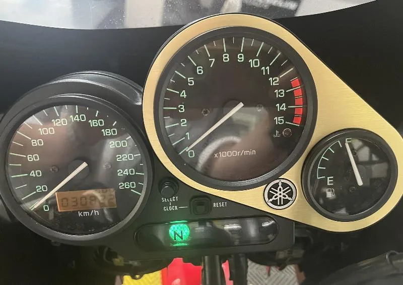 FZS FAZER