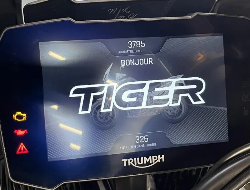 TIGER 900 RALLY PRO