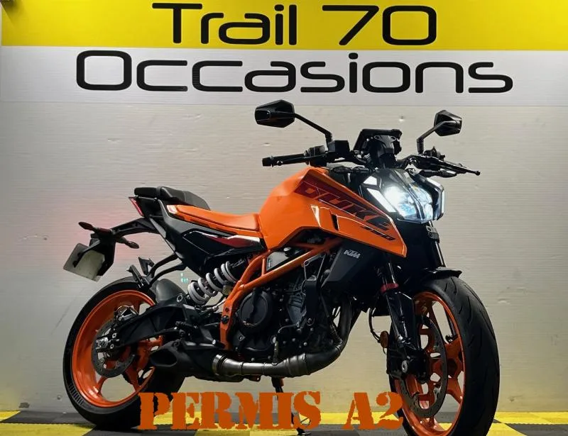 390 DUKE 2024