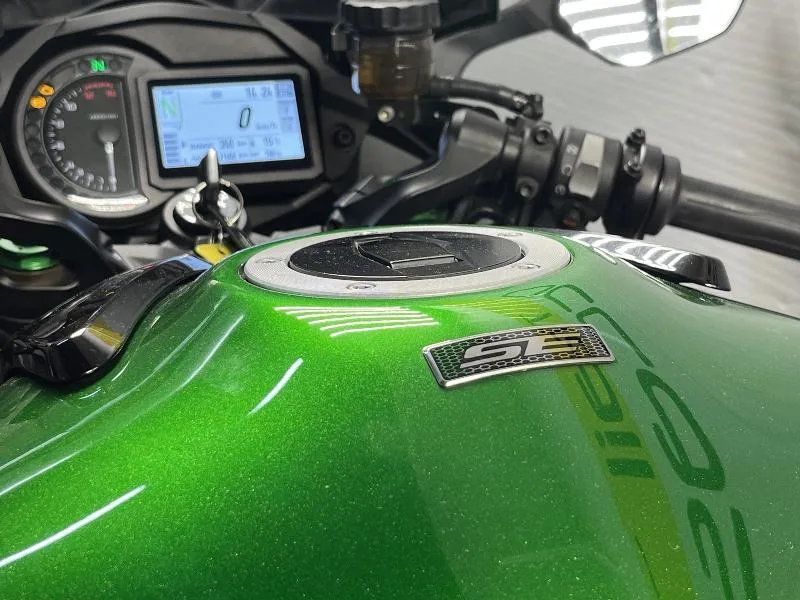 Ninja H2 SX SE