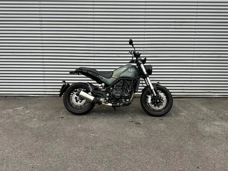 LEONCINO 500