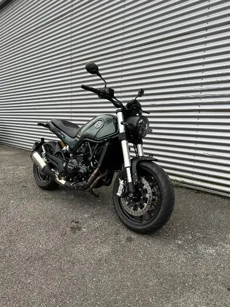 LEONCINO 500