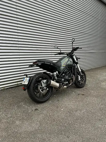 LEONCINO 500