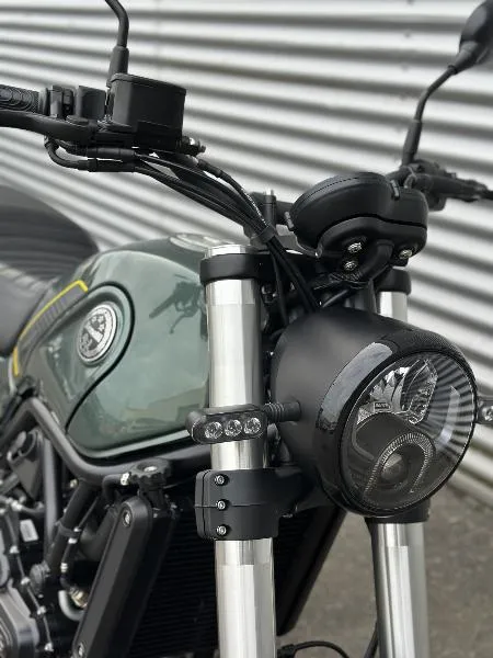 LEONCINO 500