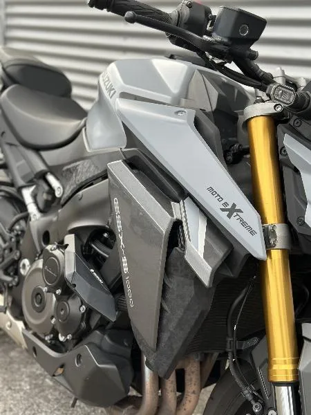 GSX S 1000