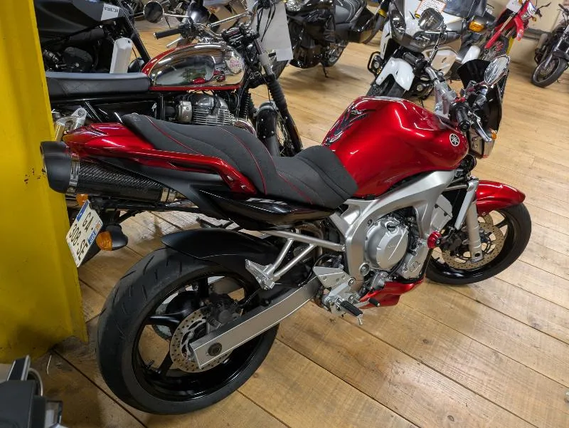 FZ6 
