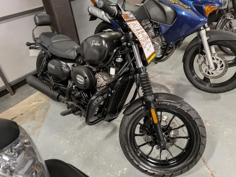 300 BOBBER 2022