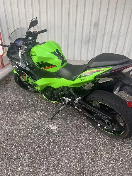 Ninja 500 2025