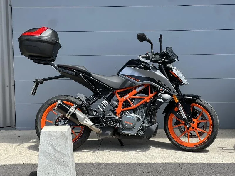 390 DUKE 2022