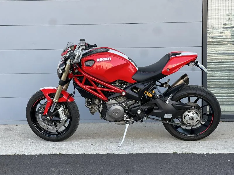 1100EVO MONSTER