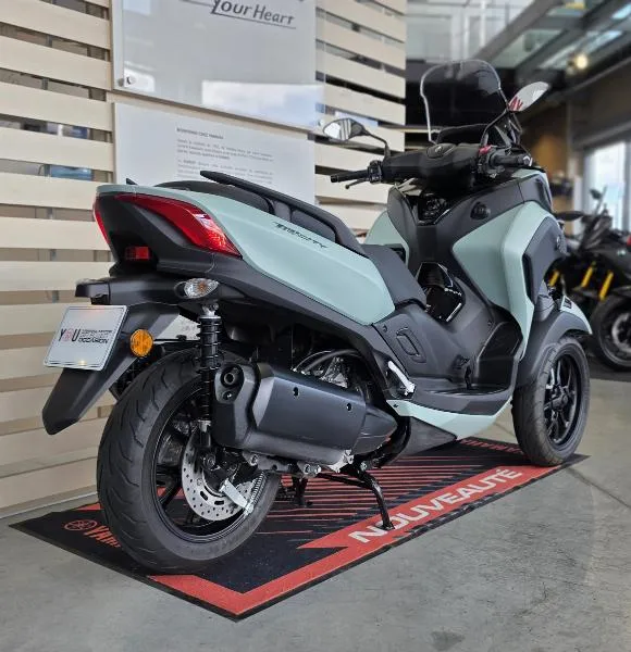 TRICITY 300