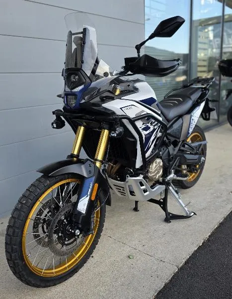 DS 800 X RALLY