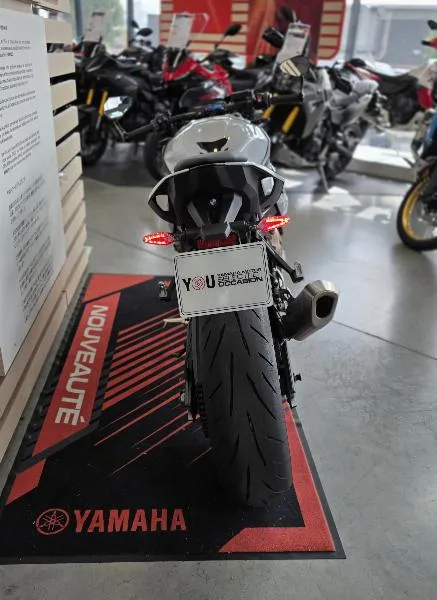 S 1000 R