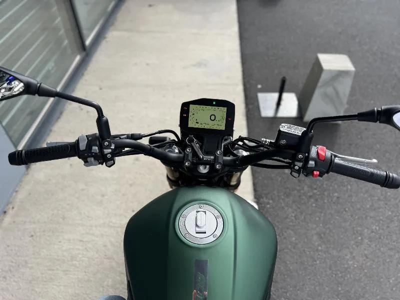 LEONCINO 800