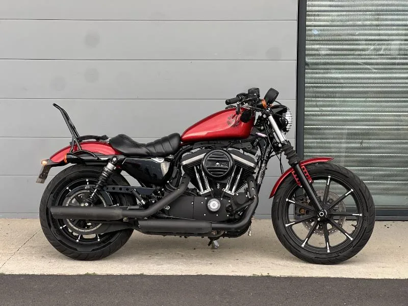 SPORTSTER 883 2019