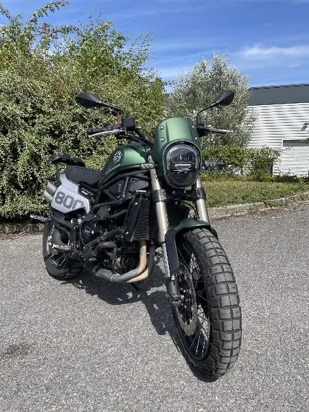 LEONCINO 800