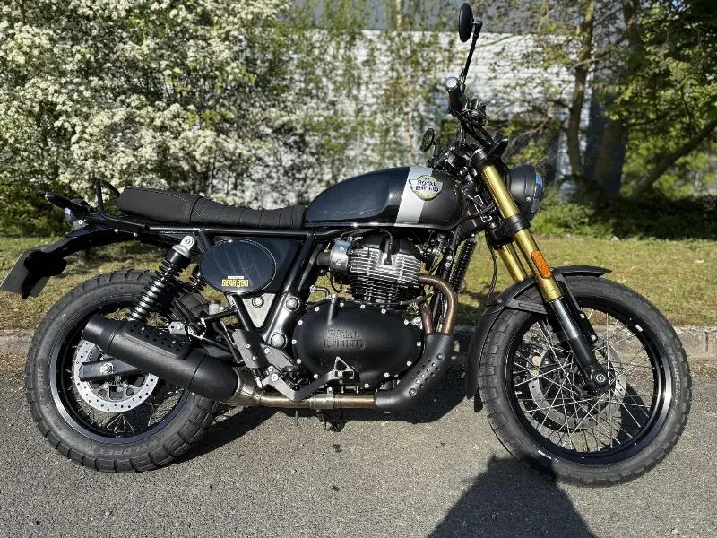BEAR 650