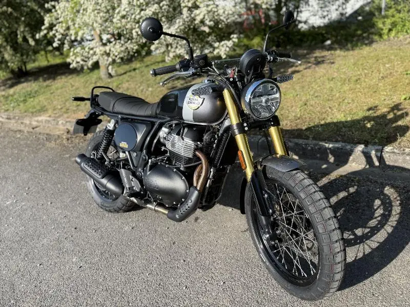 BEAR 650