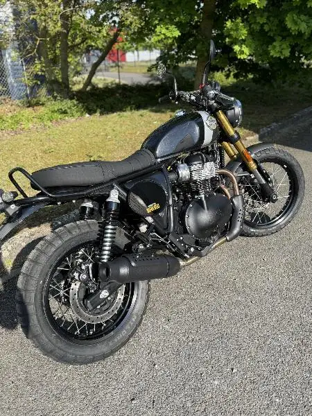 BEAR 650