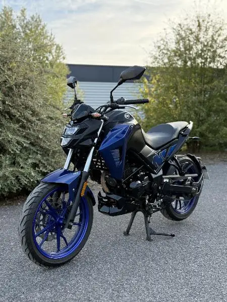 NHX 125