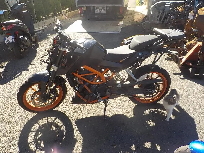 390 DUKE