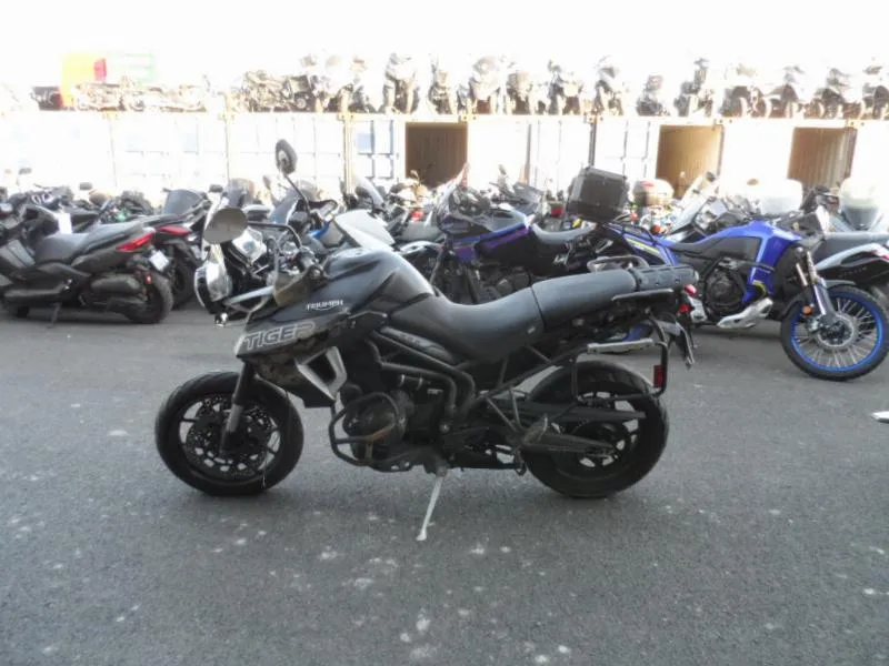 TIGER 800 XRT