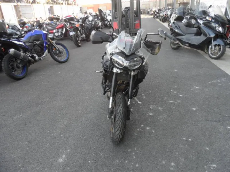 TIGER 800 XRT