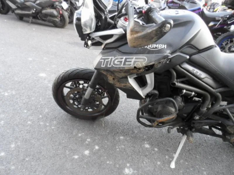 TIGER 800 XRT